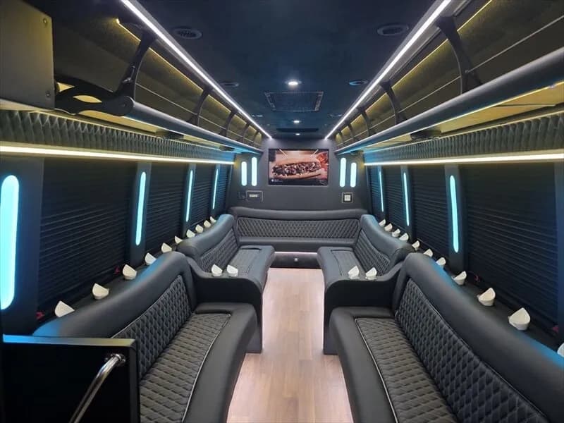 2017 Ford E450 Limo Bus - Image 7