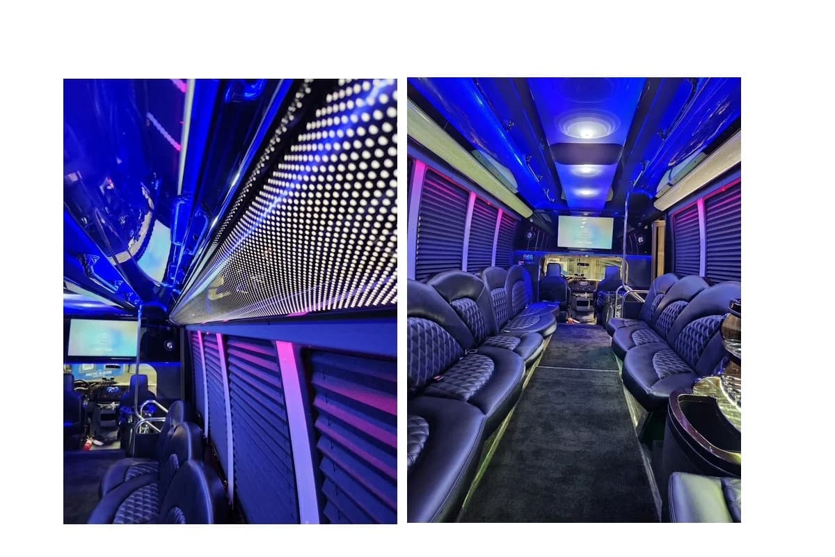 2017 Ford E-450 ECB 20 Pass Party Bus - Image 4