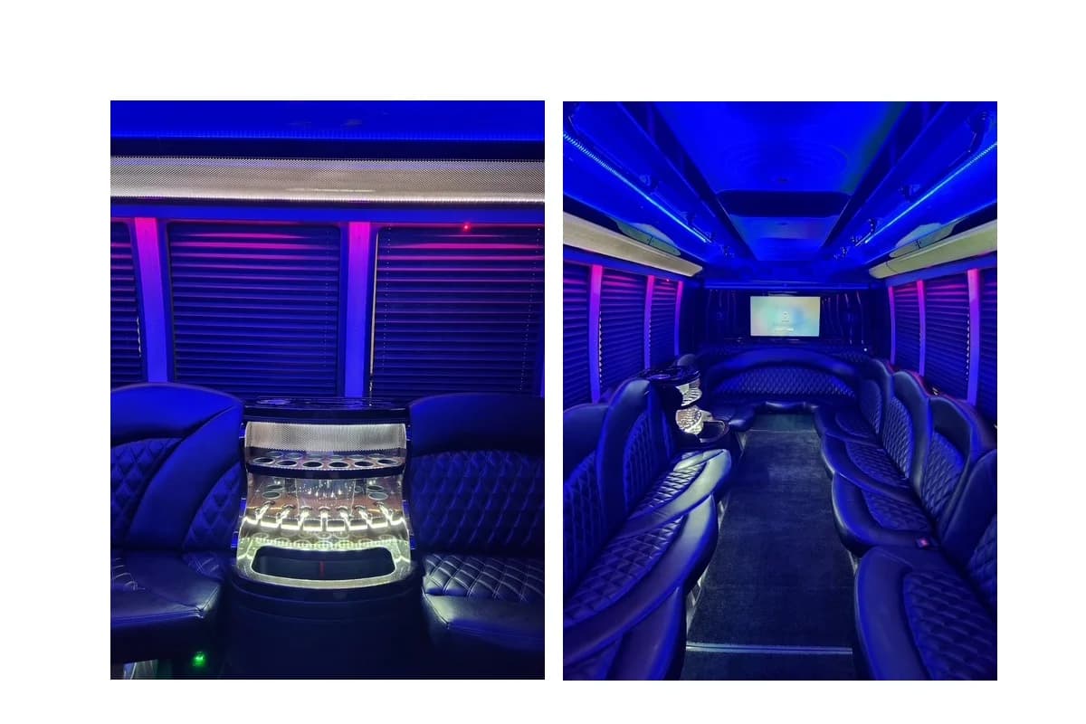 2017 Ford E-450 ECB 20 Pass Party Bus - Image 3