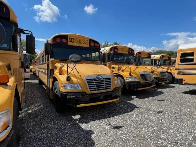 Bus Fleet For Sale Blue Bird 72 - Image 2