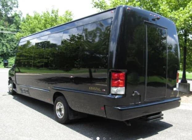 2015 Ford E-450 Krystal KK28 Exec - Image 2