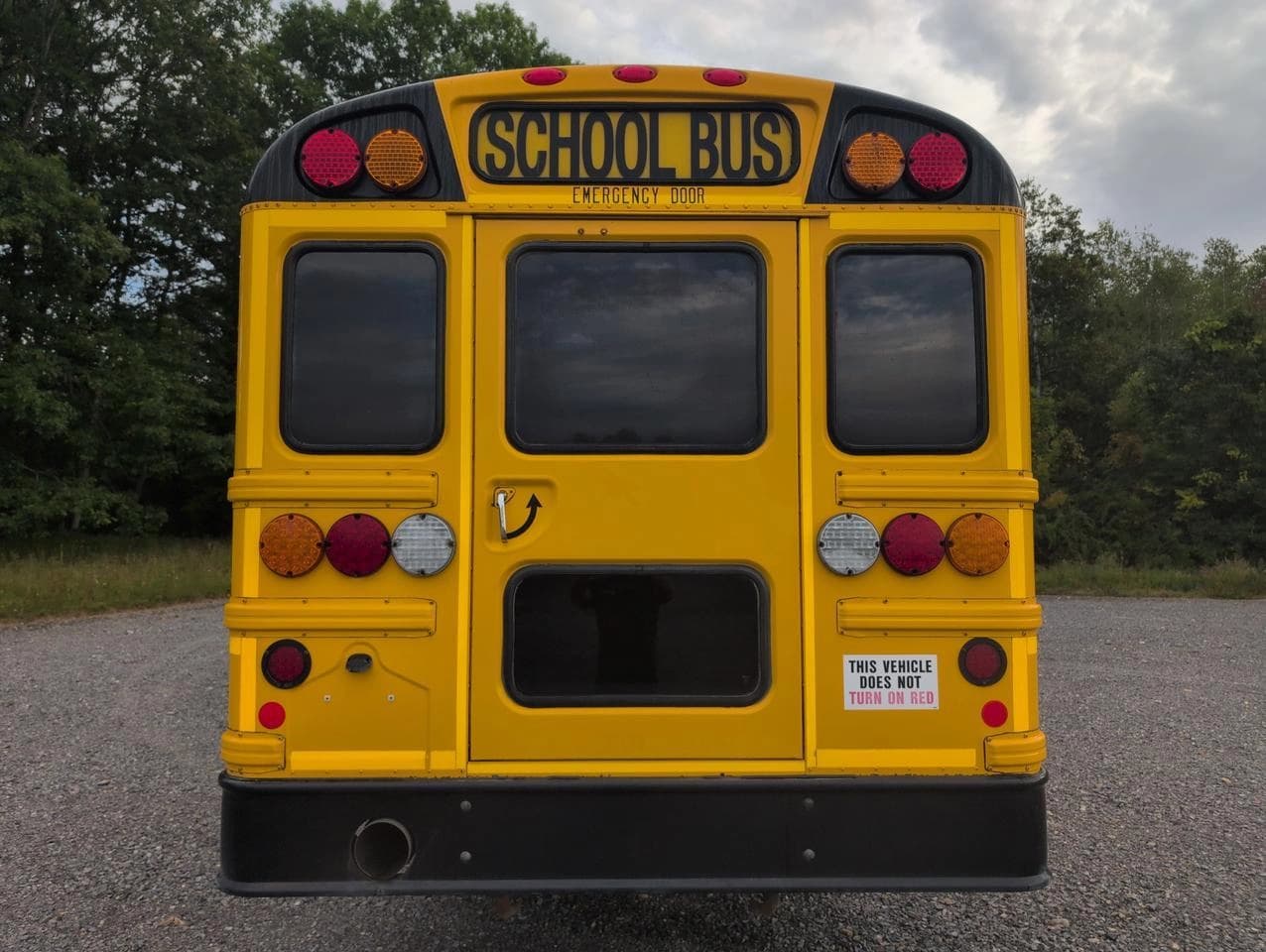 2019 International IC School Bus - Image 3