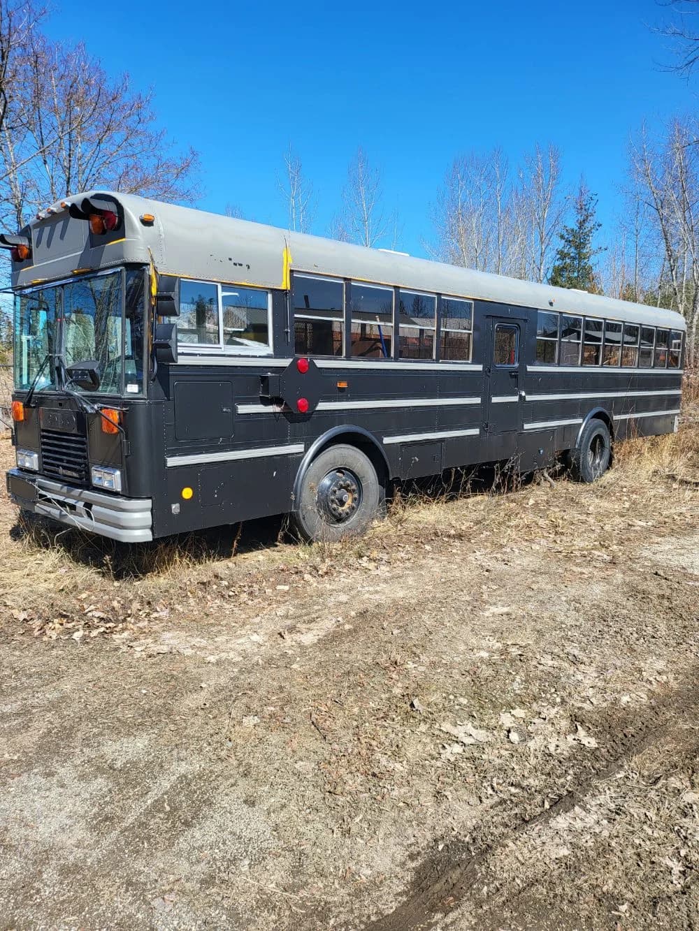 1998 International Amtran - Image 2