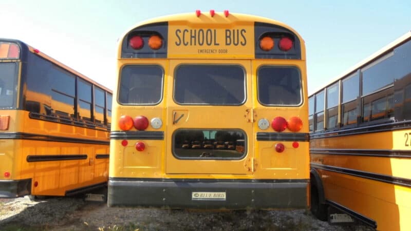 2013 Blue Bird Dog Nose School Bus - Image 2