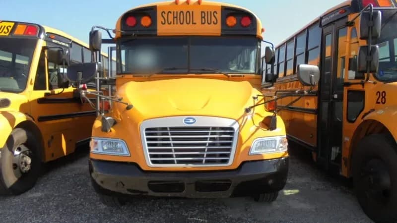 2013 Blue Bird Blue Bird bus