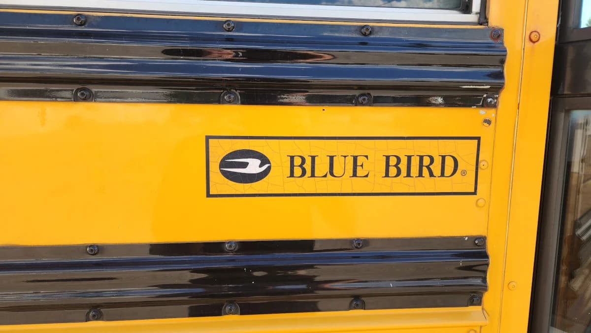 2016 Blue Bird 72 Passenger - Image 22