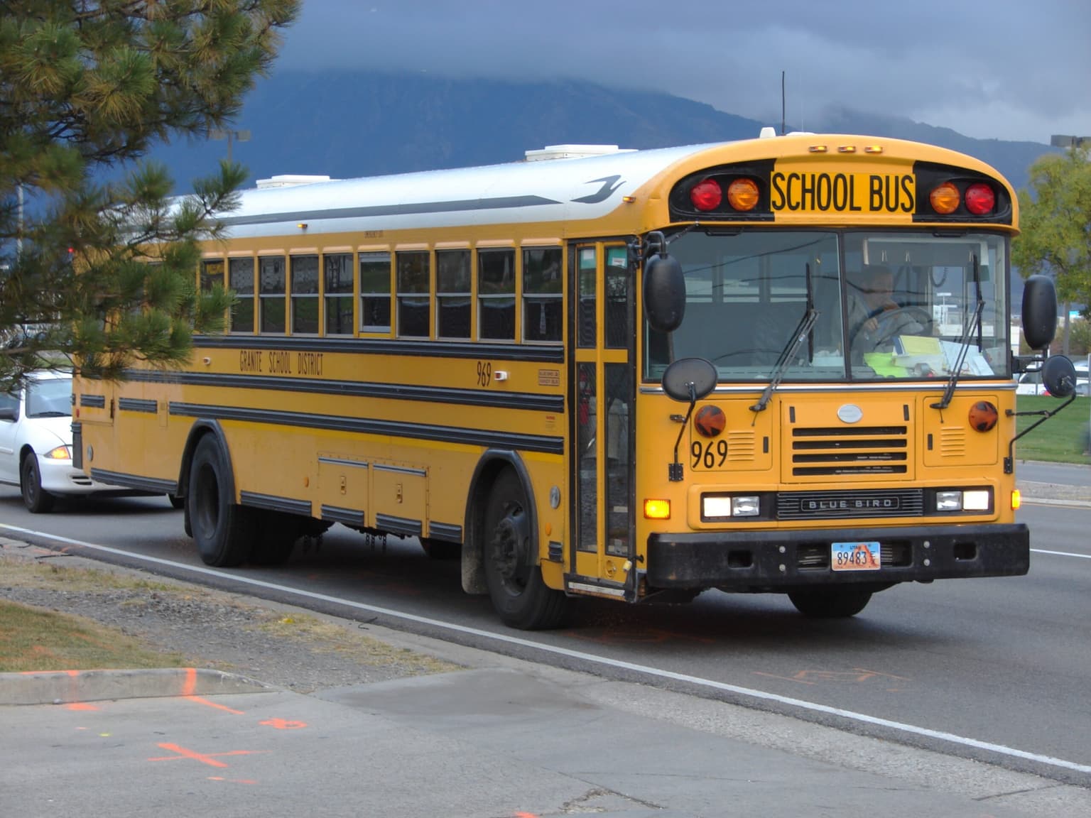 Leasing vs Buying a Bus: Which Is Right for You?