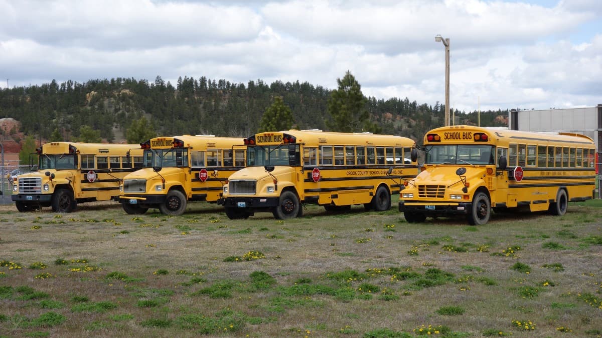 Why Export Buyers Purchase Buses in Bulk: Save Time, Cut Costs & Simplify Shipping in 2025