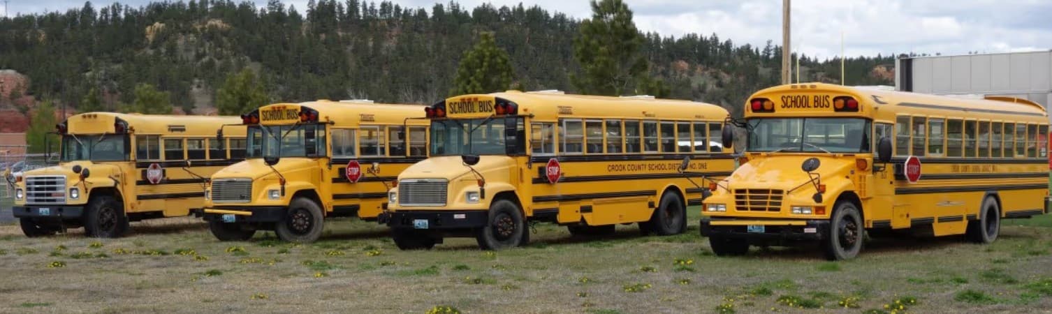 Why Export Buyers Purchase Buses in Bulk: Save Time, Cut Costs & Simplify Shipping in 2025