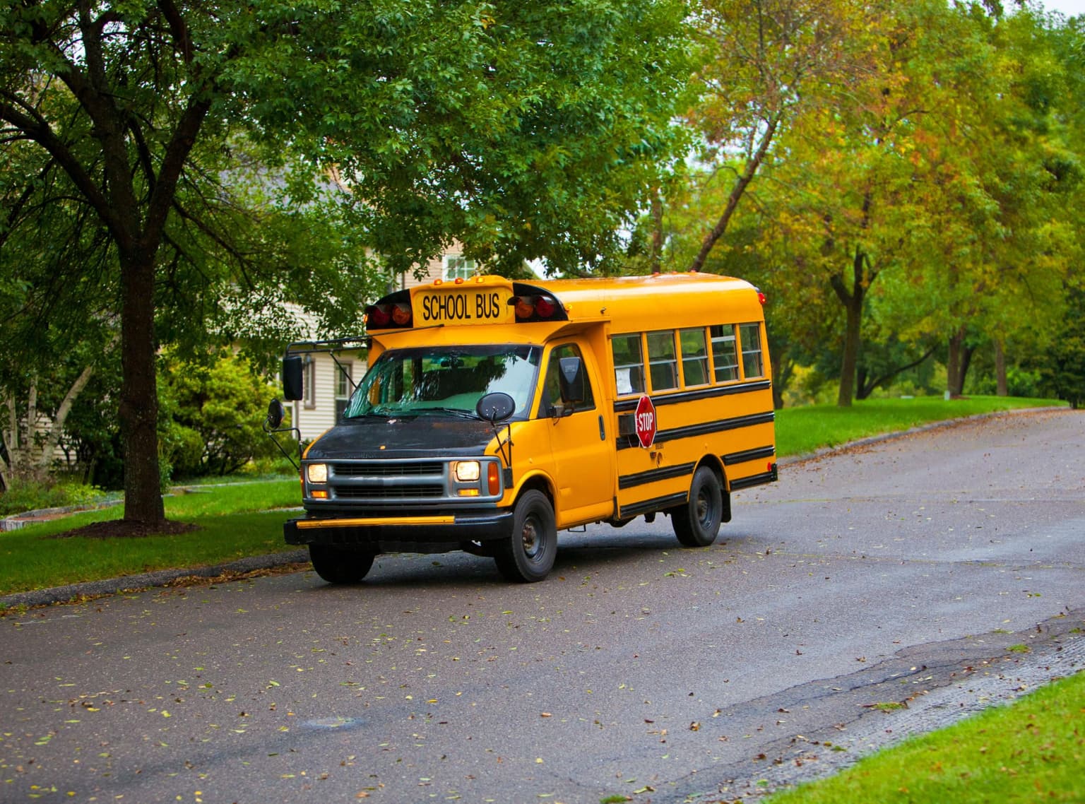 mini school bus for sale driving down street