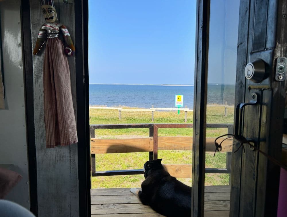 2006 International CE200 - Thumbnail 2 2006 International CE200 - Thumbnail 2