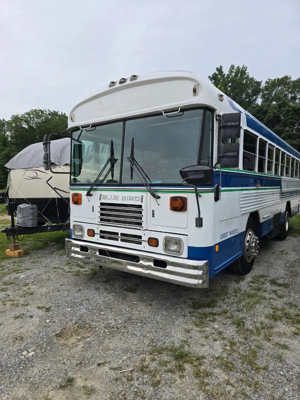 2000 Bluebird Bird - Thumbnail 7 2000 Bluebird Bird - Thumbnail 7