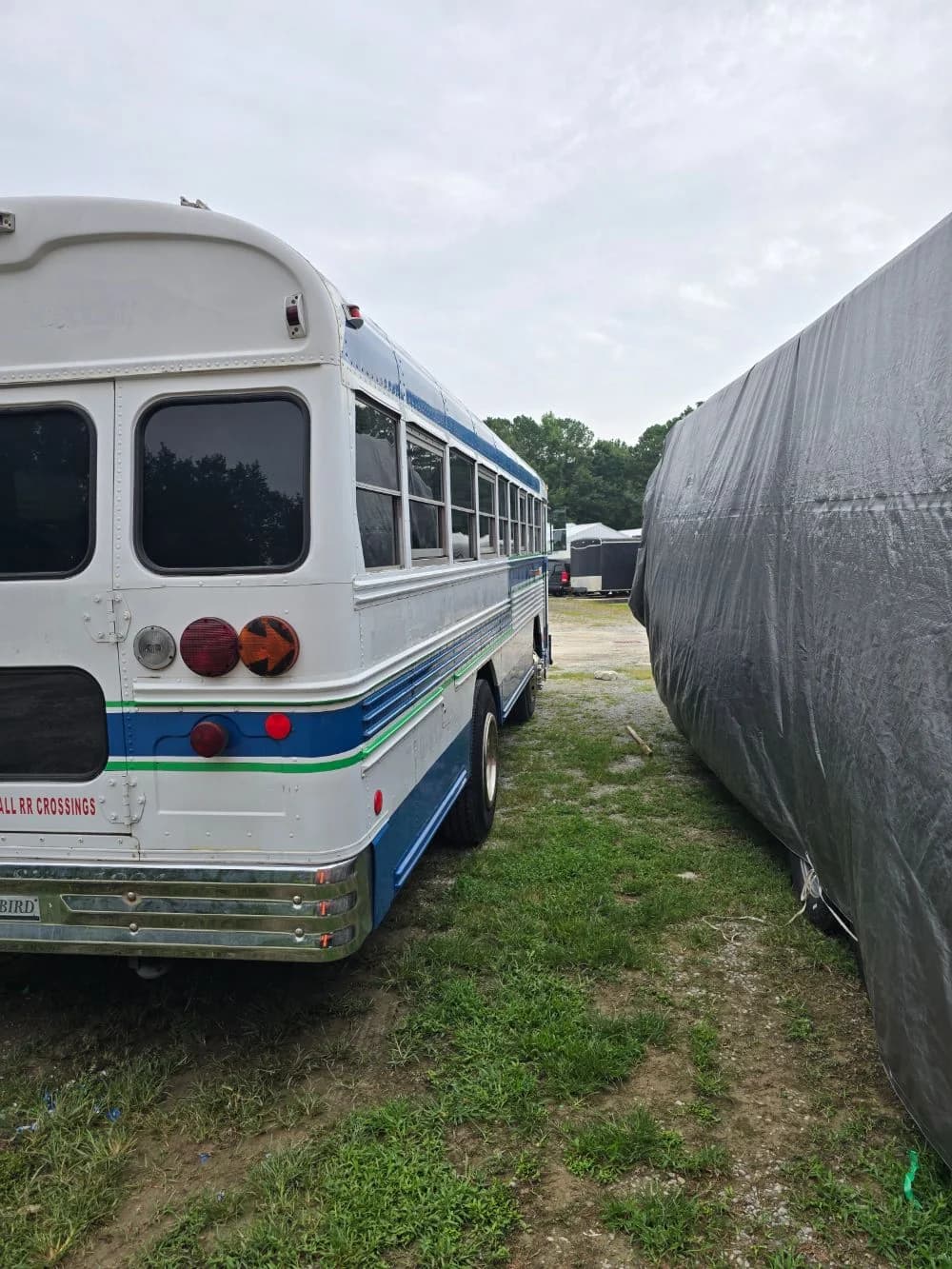 2000 Bluebird Bird - Thumbnail 8 2000 Bluebird Bird - Thumbnail 8