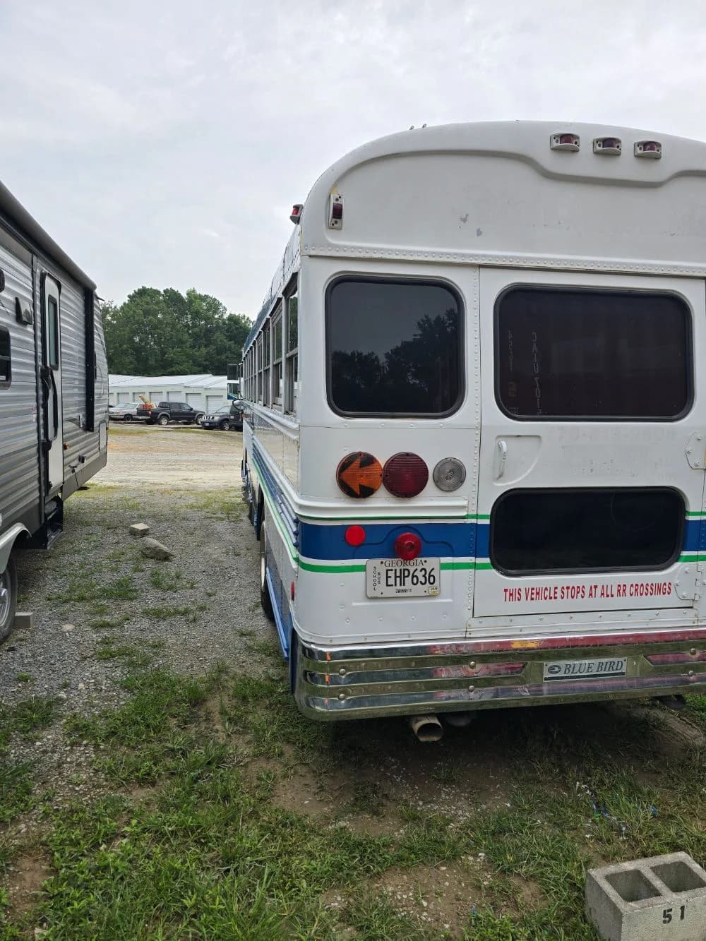 2000 Bluebird Bird - Thumbnail 9 2000 Bluebird Bird - Thumbnail 9