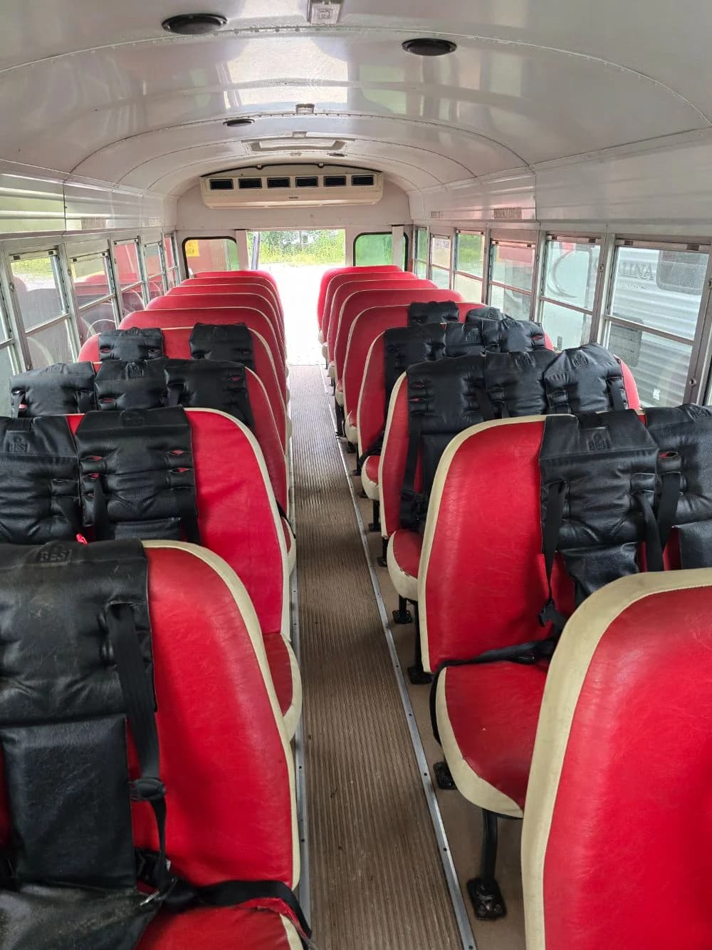 2000 Bluebird Bird - Thumbnail 3 2000 Bluebird Bird - Thumbnail 3