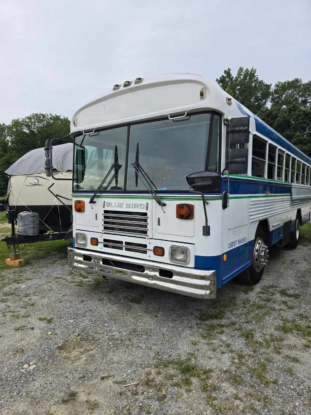 2000 Bluebird Bird - Thumbnail 4 2000 Bluebird Bird - Thumbnail 4