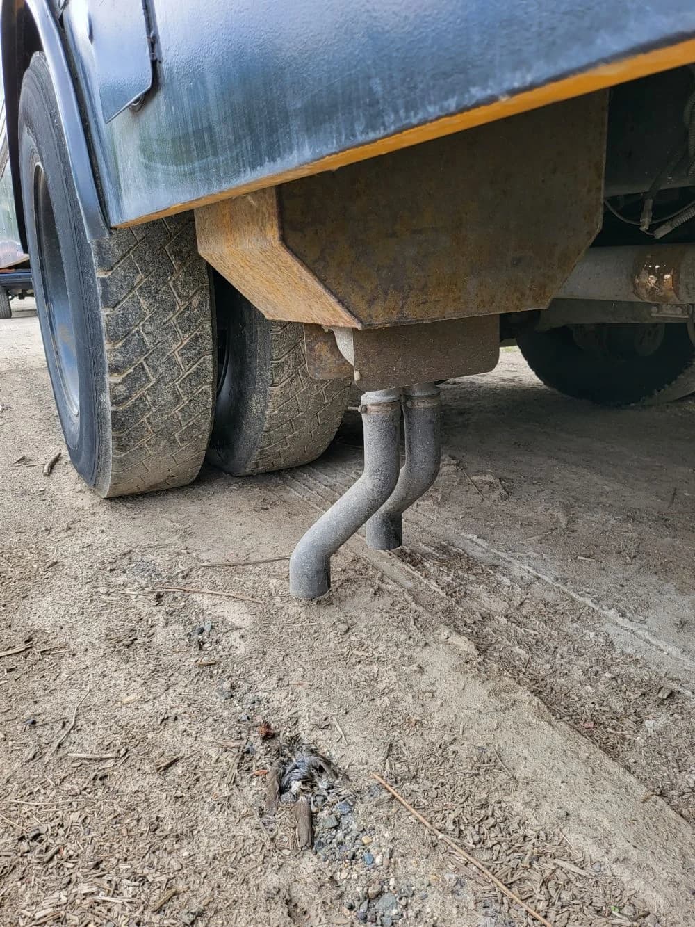 1998 International Amtran - Thumbnail 10 1998 International Amtran - Thumbnail 10