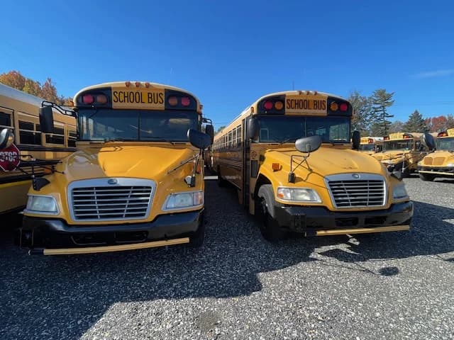 5 BLUE BIRD PACKAGE DEAL - Thumbnail 11 5 BLUE BIRD PACKAGE DEAL - Thumbnail 11