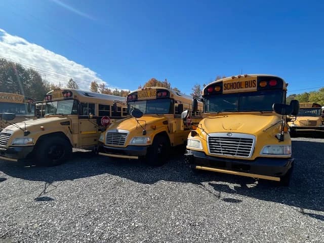 5 BLUE BIRD PACKAGE DEAL - Thumbnail 12 5 BLUE BIRD PACKAGE DEAL - Thumbnail 12