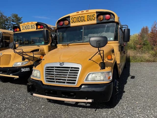 5 BLUE BIRD PACKAGE DEAL - Thumbnail 14 5 BLUE BIRD PACKAGE DEAL - Thumbnail 14