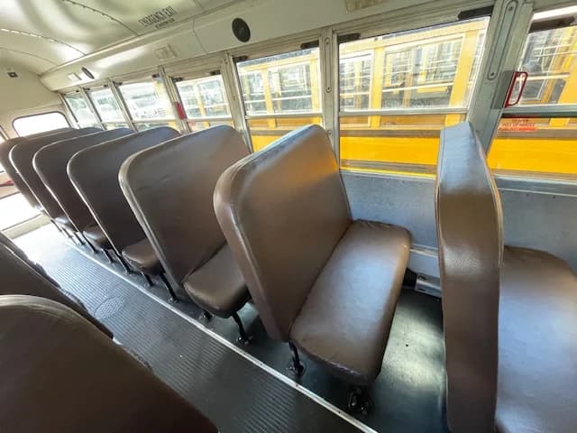 5 BLUE BIRD PACKAGE DEAL - Thumbnail 4 5 BLUE BIRD PACKAGE DEAL - Thumbnail 4