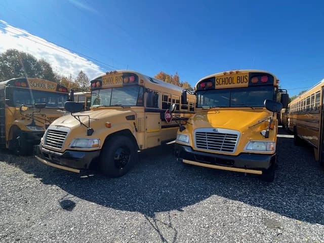 10 BLUE BIRD PACKAGE DEAL - Thumbnail 10 10 BLUE BIRD PACKAGE DEAL - Thumbnail 10