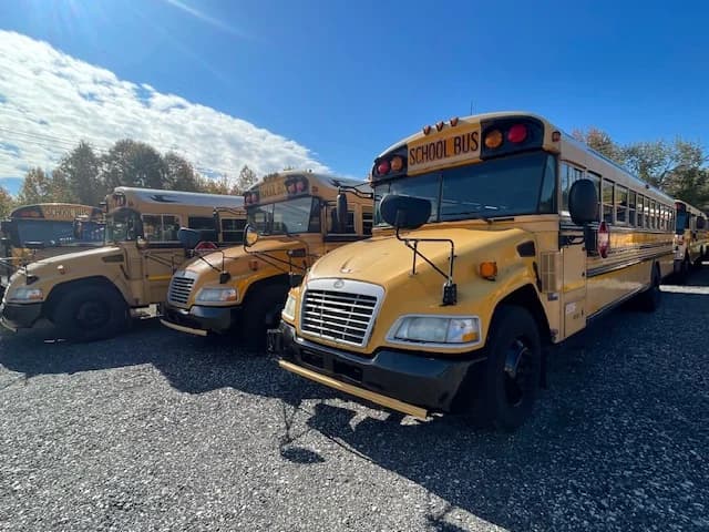 10 BLUE BIRD PACKAGE DEAL - Thumbnail 13 10 BLUE BIRD PACKAGE DEAL - Thumbnail 13