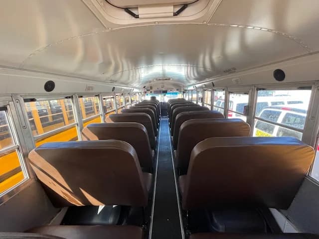 10 BLUE BIRD PACKAGE DEAL - Thumbnail 3 10 BLUE BIRD PACKAGE DEAL - Thumbnail 3