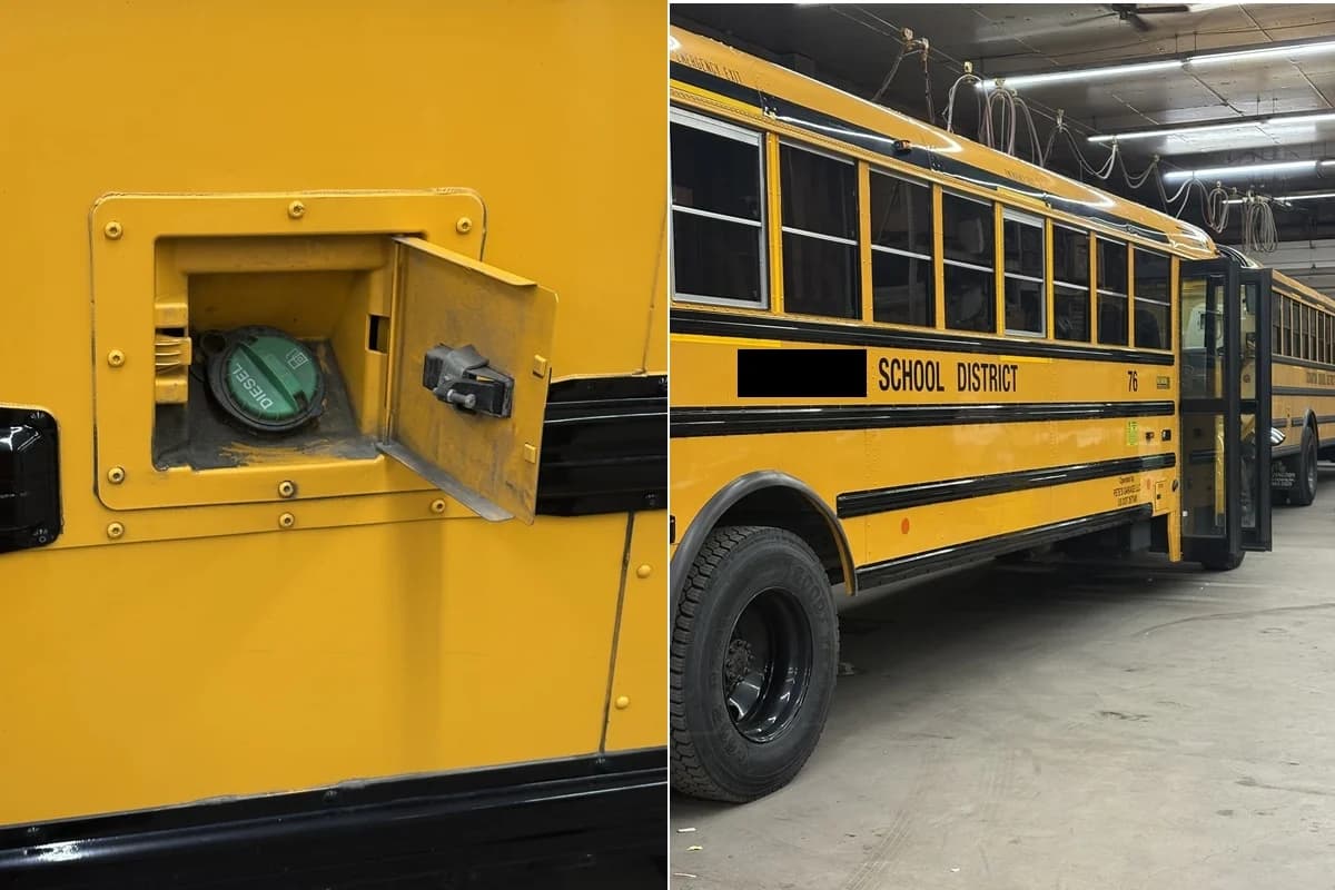 10 In Stock Now 2024 International - Thumbnail 4 10 In Stock Now 2024 International - Thumbnail 4