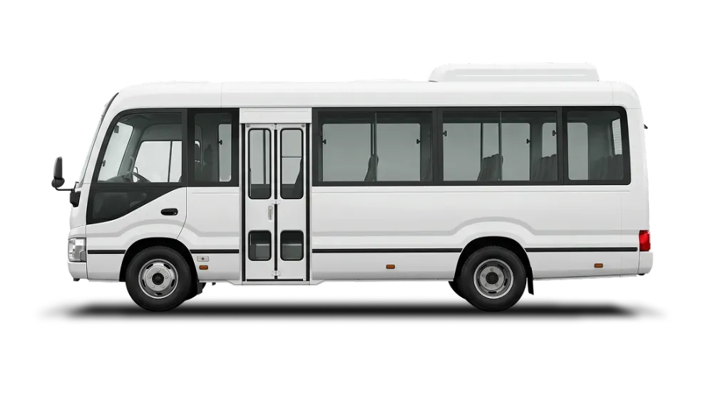 Activity Buses