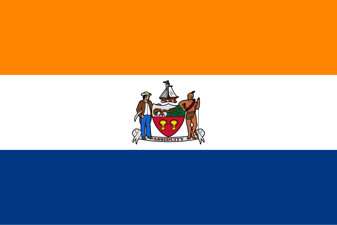 Albany, New York city flag