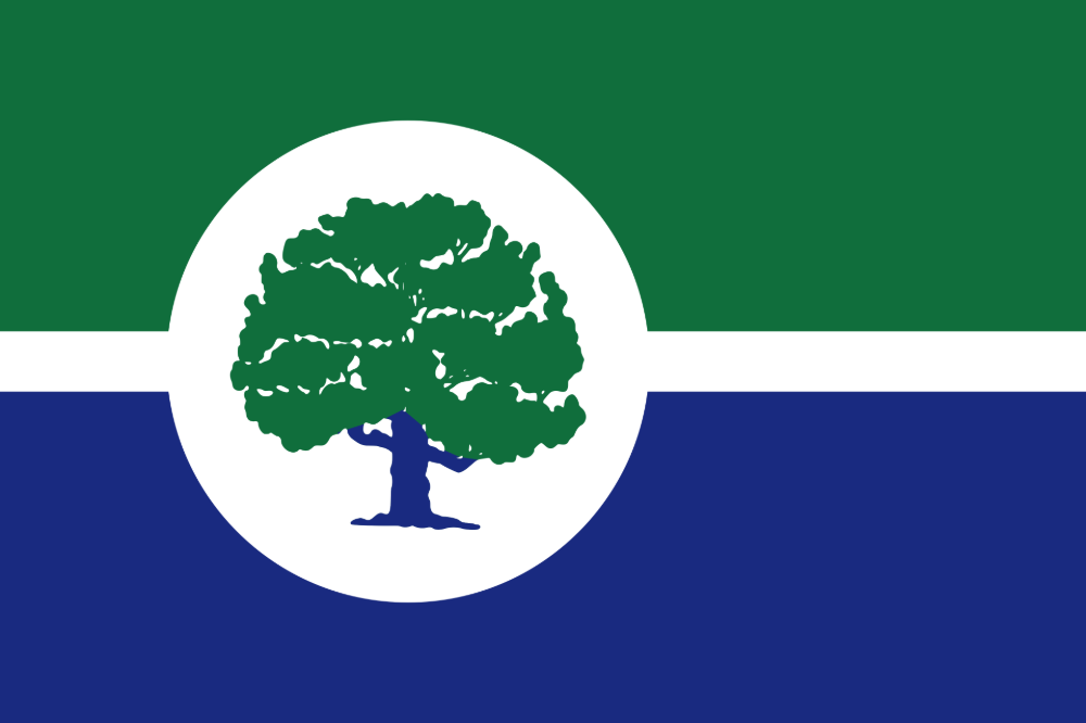 Ann Arbor, Michigan city flag