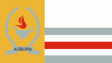Auburn, Alabama city flag