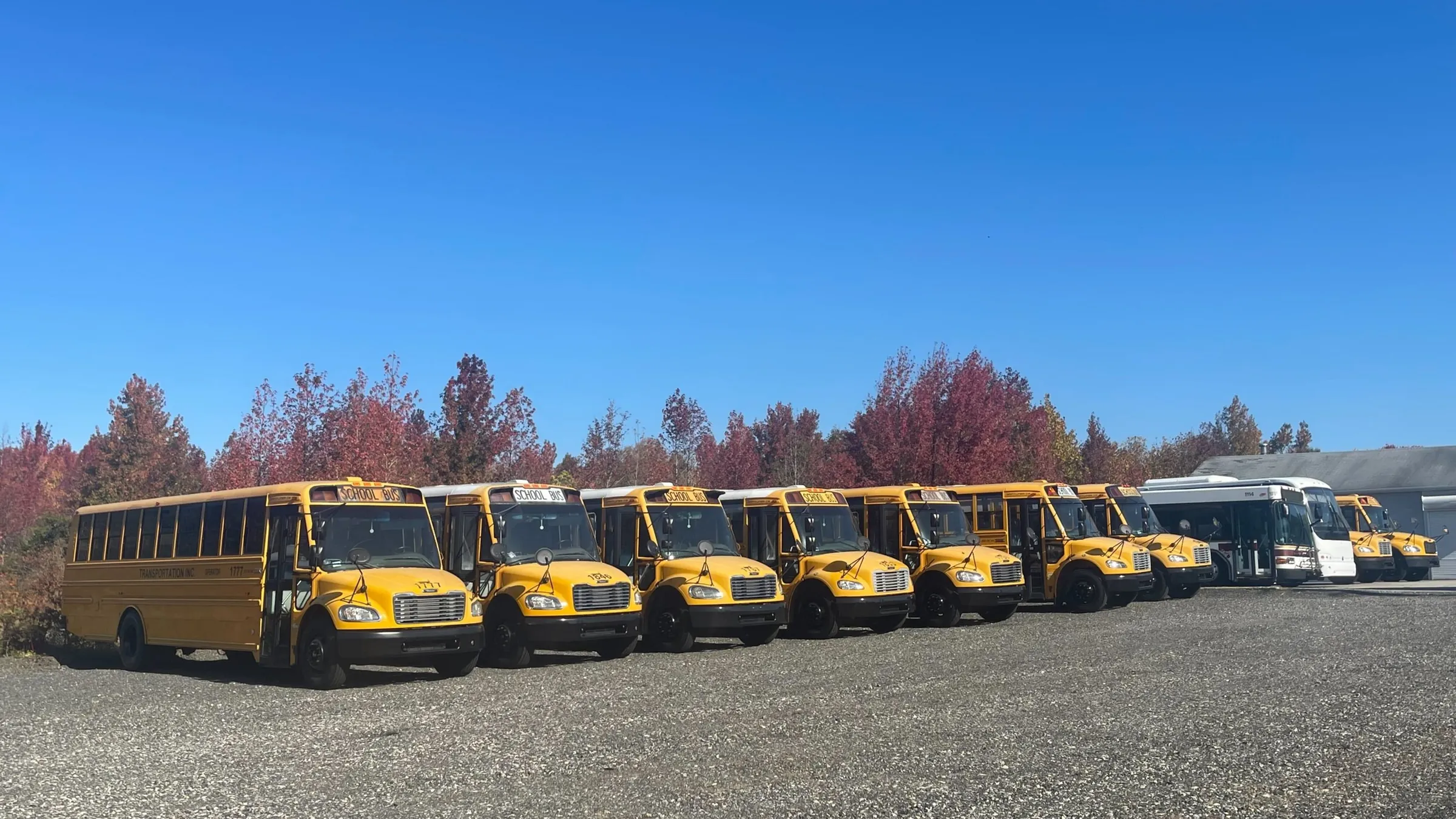 Rows of buses at the BusesForSale.com lot in Pedricktown, New Jersey