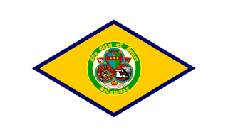 Dover, Delaware city flag