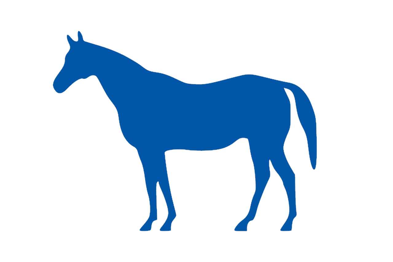 Lexington, Kentucky city flag