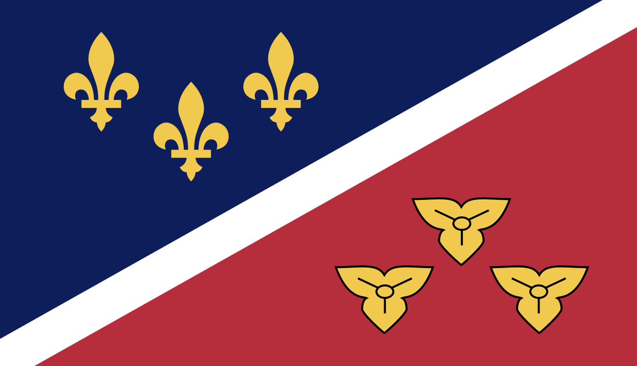 Metairie, Louisiana city flag