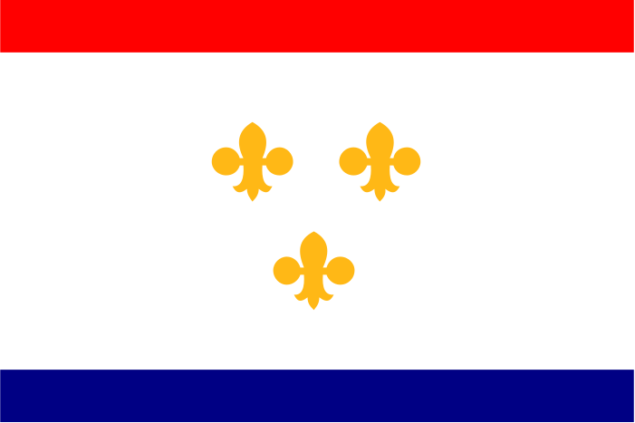 New Orleans, Louisiana city flag