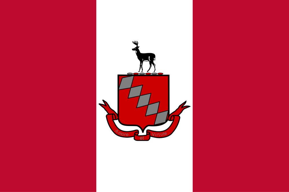 Raleigh, North Carolina city flag