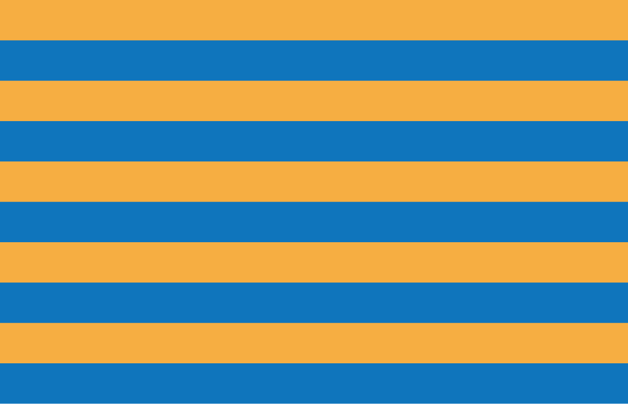 Salisbury, Maryland city flag