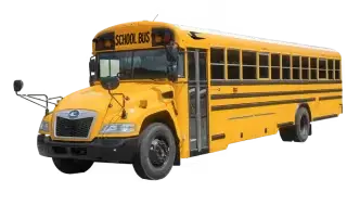 School Buses