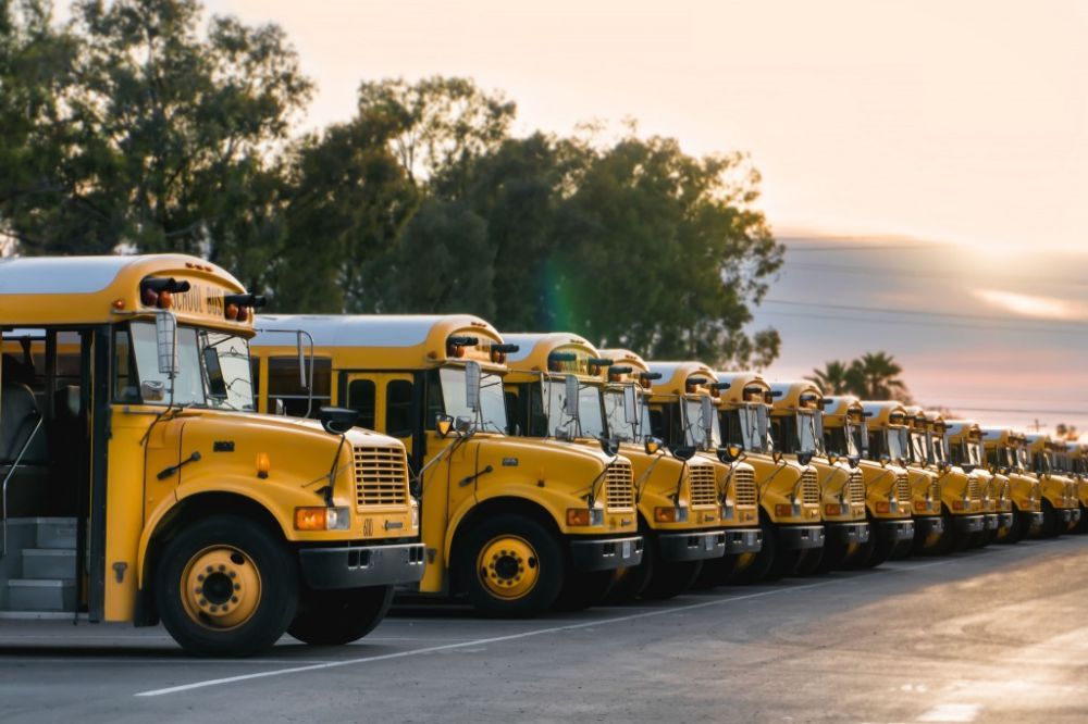 Summer camp and youth program school buses available for sale