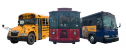 All Bus Types